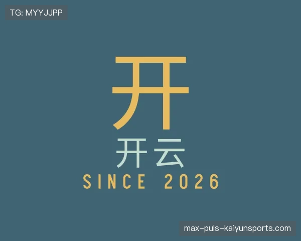 介绍开云世界杯